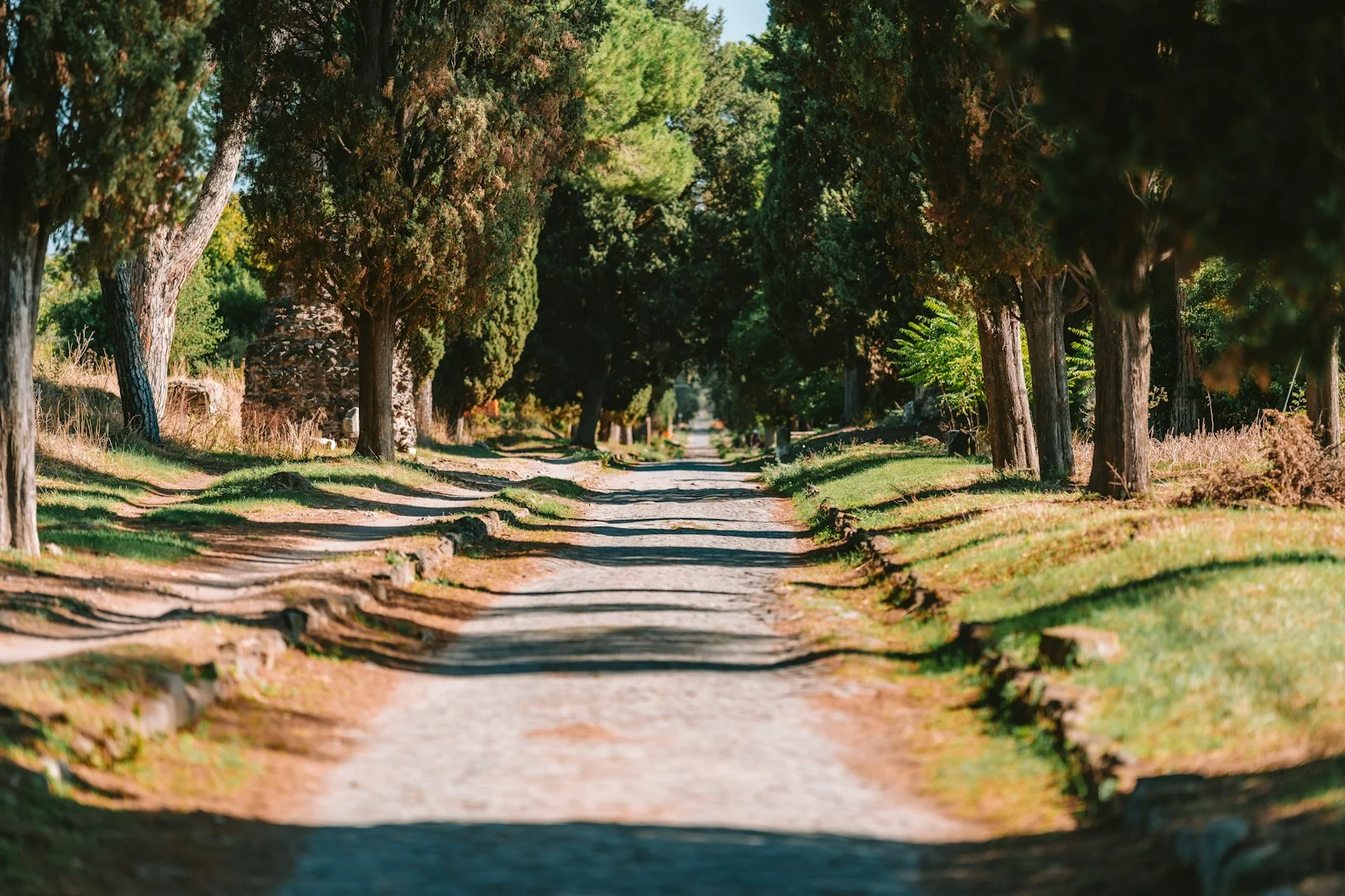 The Appian Way